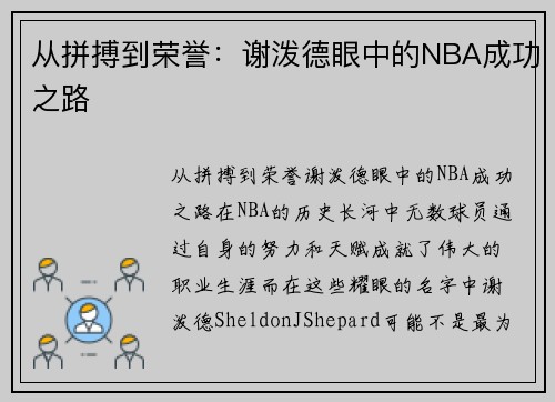 从拼搏到荣誉：谢泼德眼中的NBA成功之路