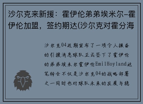 沙尔克来新援：霍伊伦弟弟埃米尔-霍伊伦加盟，签约期达(沙尔克对霍分海姆)