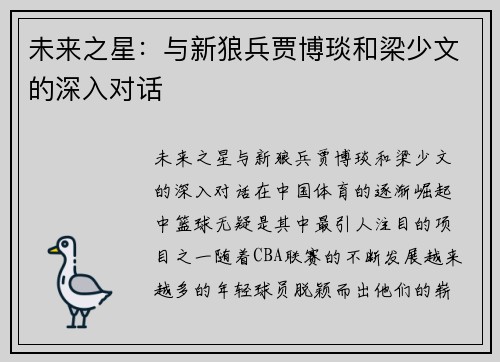 未来之星：与新狼兵贾博琰和梁少文的深入对话
