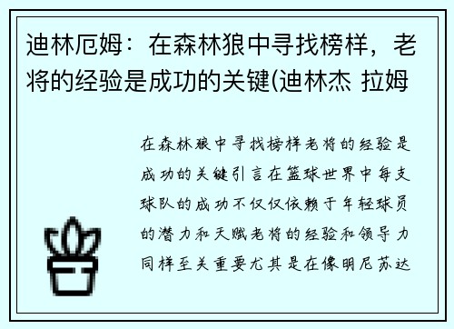 迪林厄姆:在森林狼中寻找榜样,老将的经验是成功的关键(迪林杰 拉姆) 迪林厄姆:在森林狼中寻找榜样,老将的经验是成功的关键(迪林杰 拉姆)
