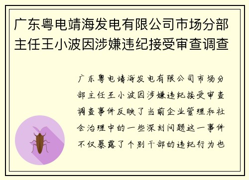 广东粤电靖海发电有限公司市场分部主任王小波因涉嫌违纪接受审查调查