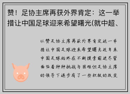 赞！足协主席再获外界肯定：这一举措让中国足球迎来希望曙光(就中超、中甲俱乐部)